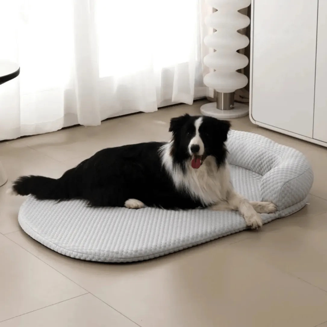 Chillbuddy Oasis Cooling Pet Bed