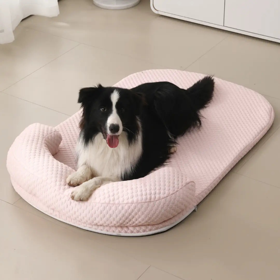 Chillbuddy Oasis Cooling Pet Bed